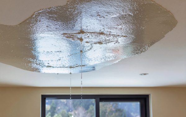 What Causes a Roof Leak? A Cardiff Homeowner’s Guide